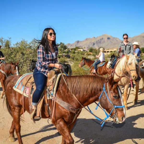 An ultimate guide to Horseback Riding