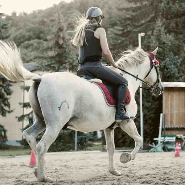 Horseback riding and safety