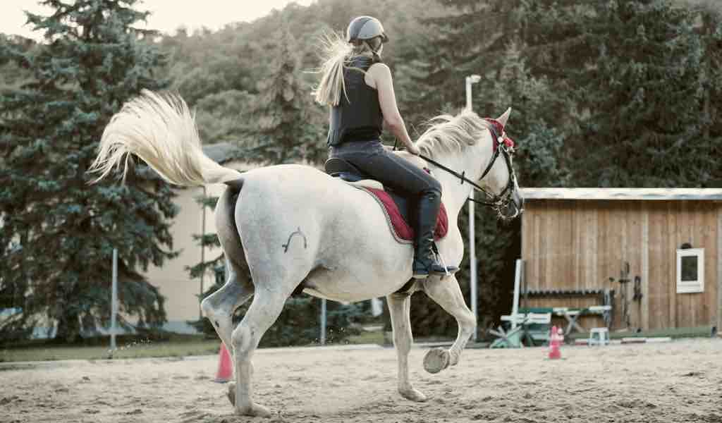 Horseback riding and safety